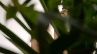 揭秘日本色情业的发达之谜从AV产业的全球影响力谈起_挑战_社会_变化